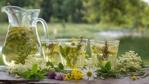Cueillette sauvage : intégrer plantes et fleurs locales dans vos boissons